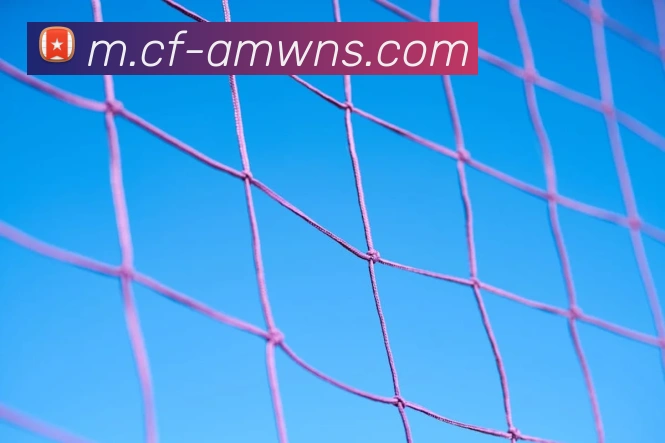 威尼斯人娱乐网站品牌故事